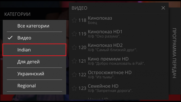 StalkerTV IOS ПросмотрТелеканалов 3.png