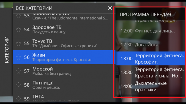 StalkerTV IOS ПросмотрТелепрограммы 2.png