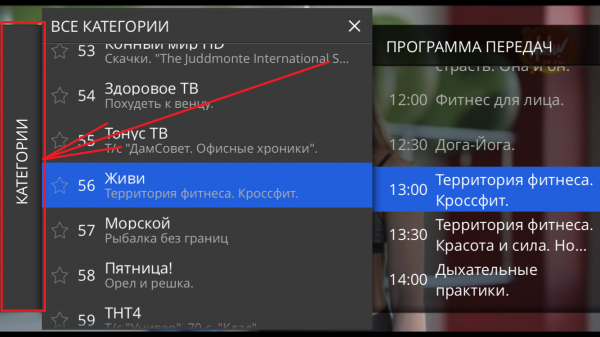 StalkerTV IOS ПросмотрТелеканалов 1.png